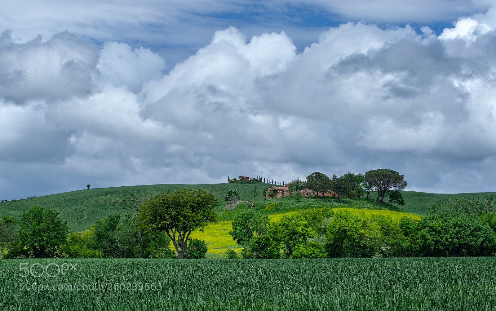 Pentax K-3 II sample photo. Landscape of tuscany in photography