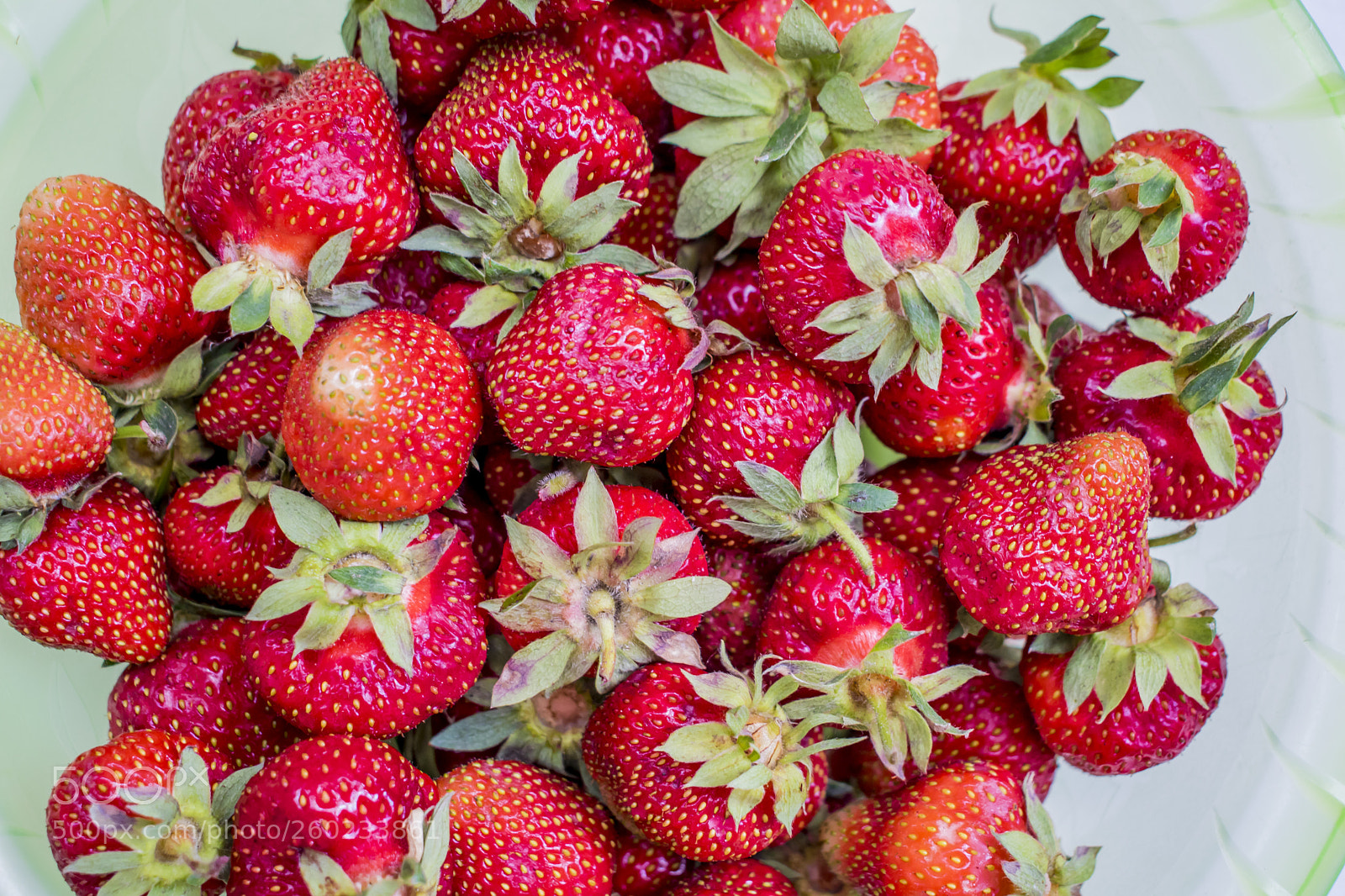 Nikon D5300 sample photo. Fresh strawberry in a photography