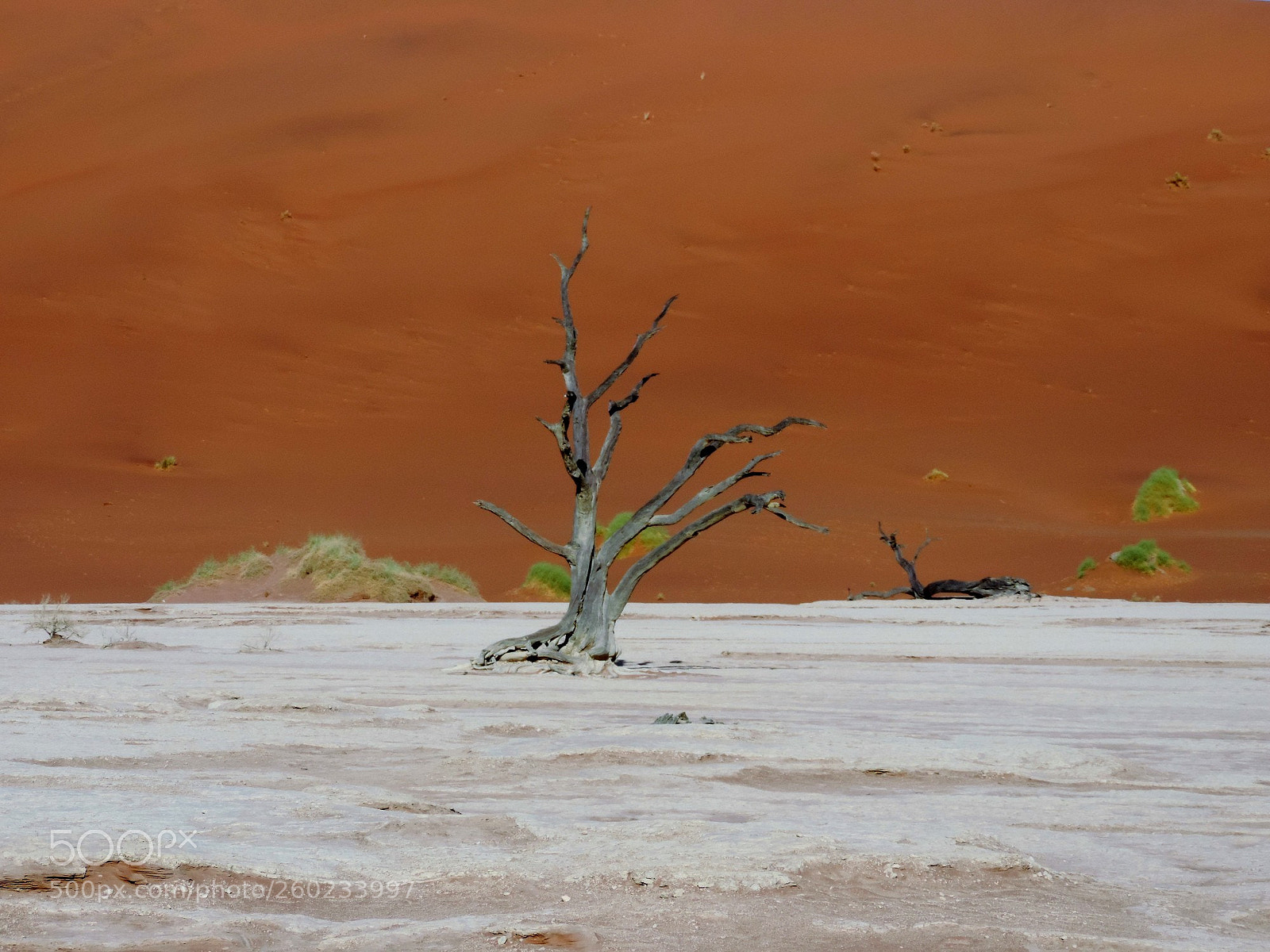 Nikon Coolpix P520 sample photo. Namibia sossusvlei photography