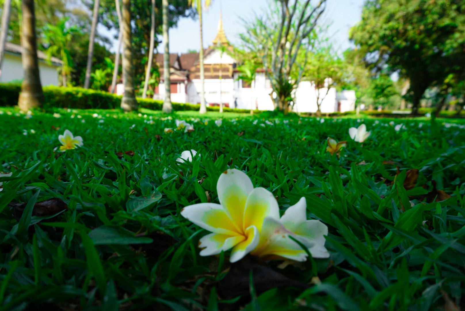 Sony a5100 sample photo