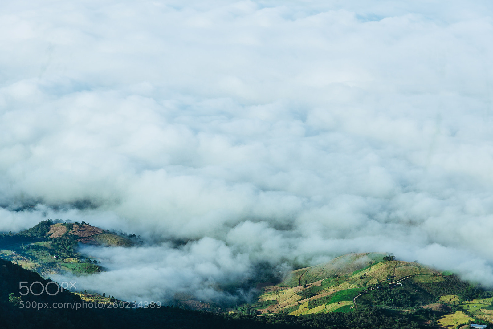 Nikon D600 sample photo. Morning mist photography