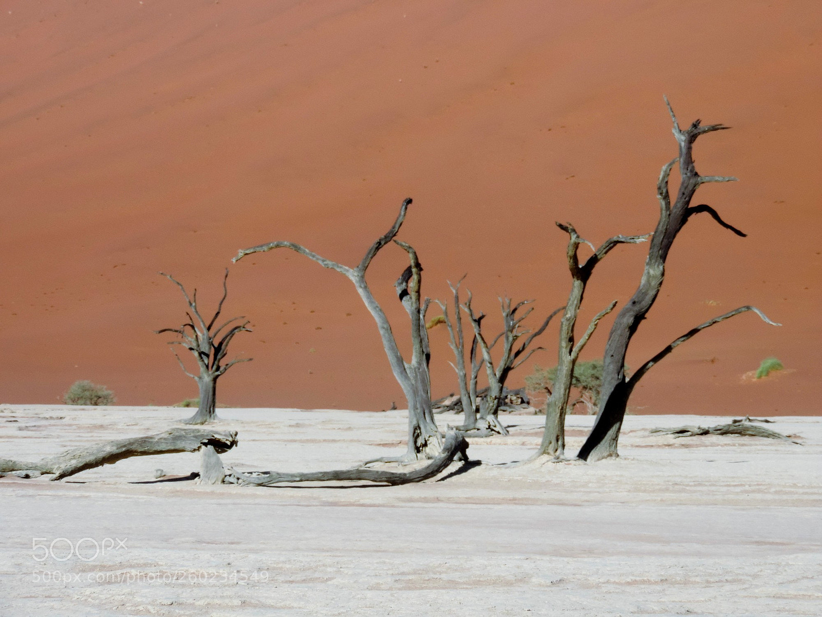 Nikon Coolpix P520 sample photo. Namibia sossusvlei photography