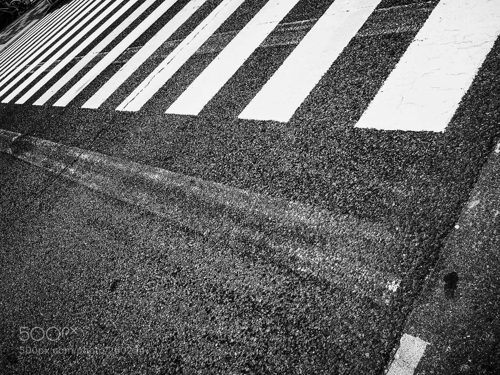 Ricoh GR II sample photo. Untitled photography