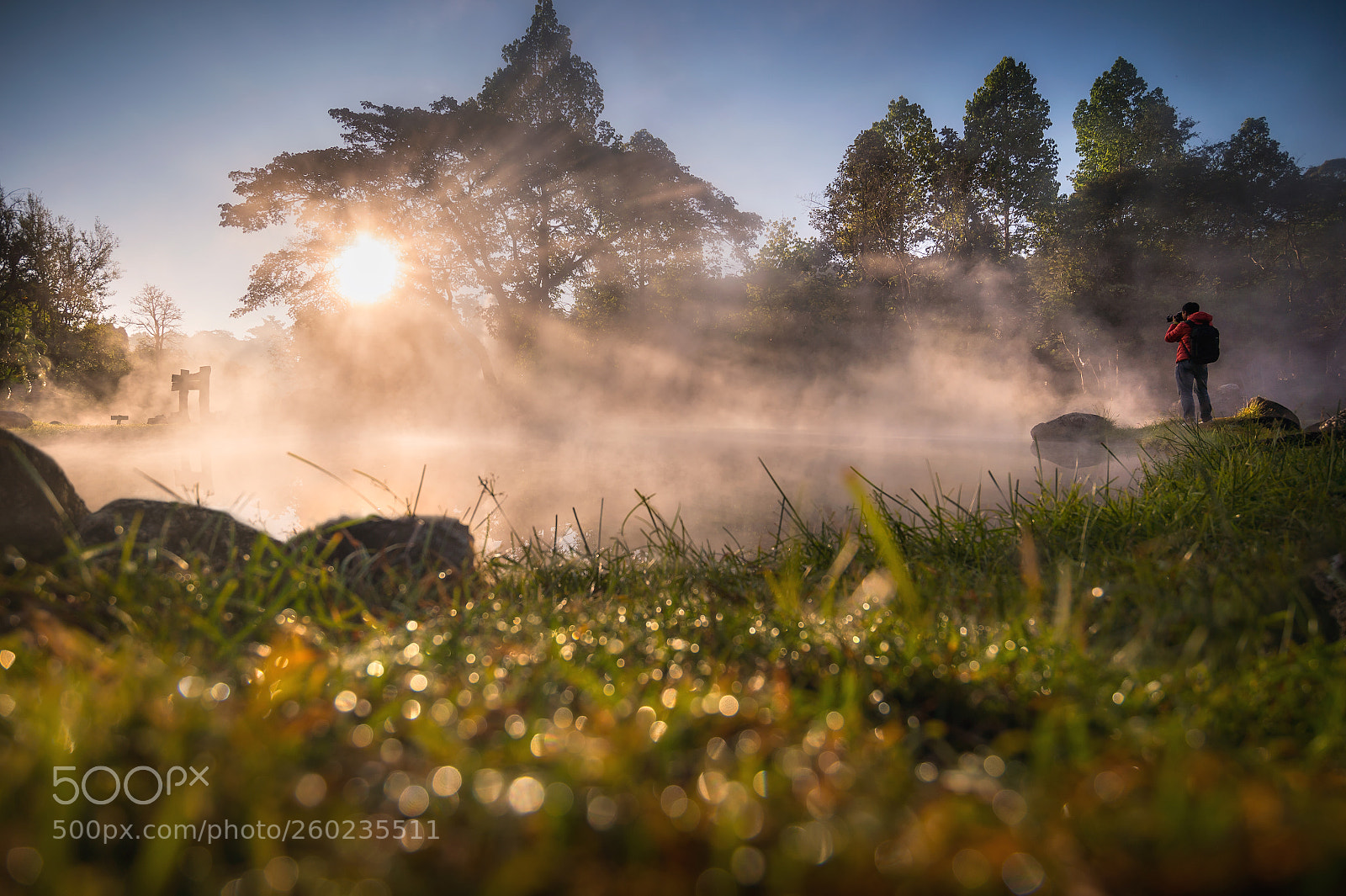 Nikon Df sample photo. Morning the sun photography