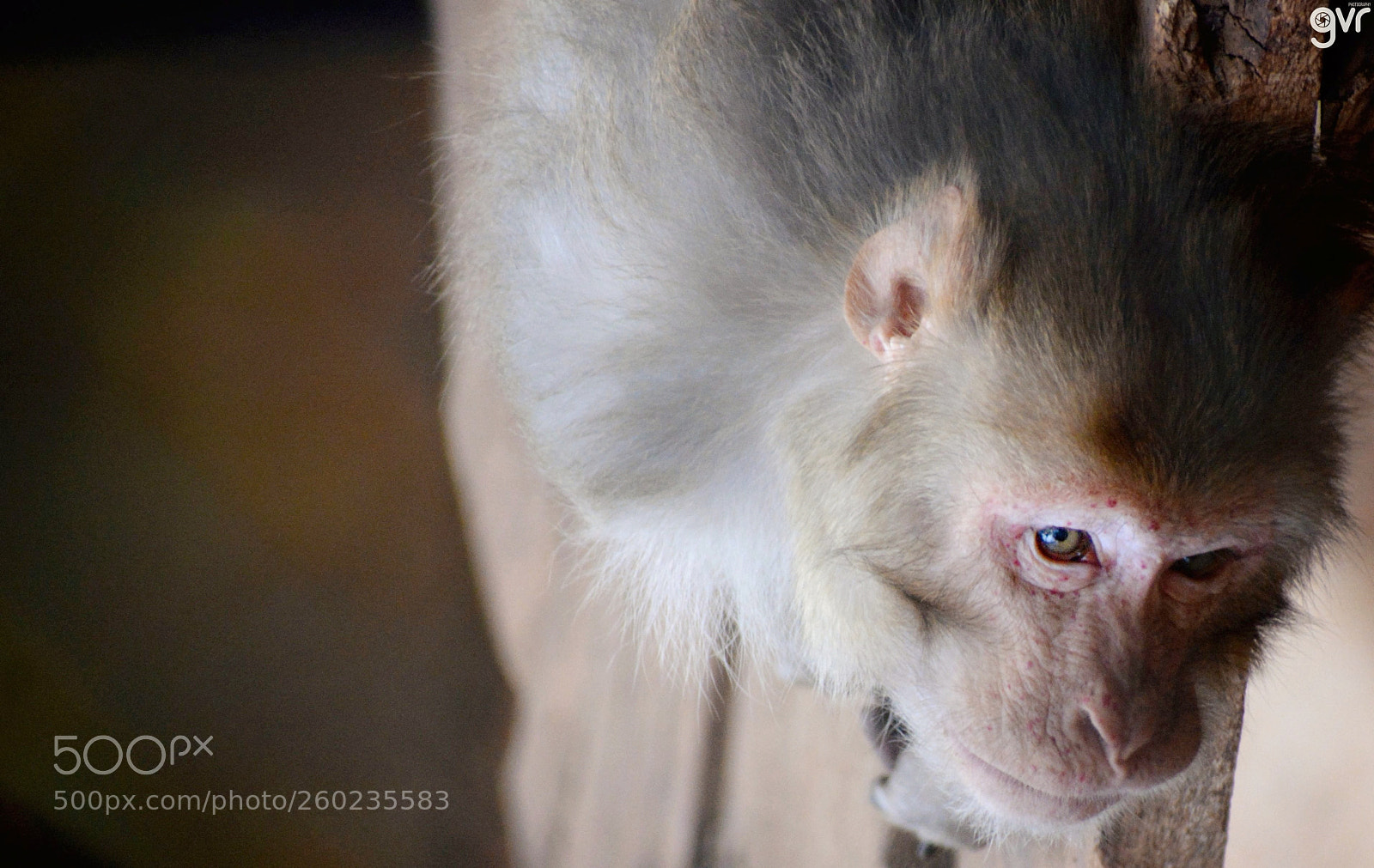 Nikon D5200 sample photo. That look photography