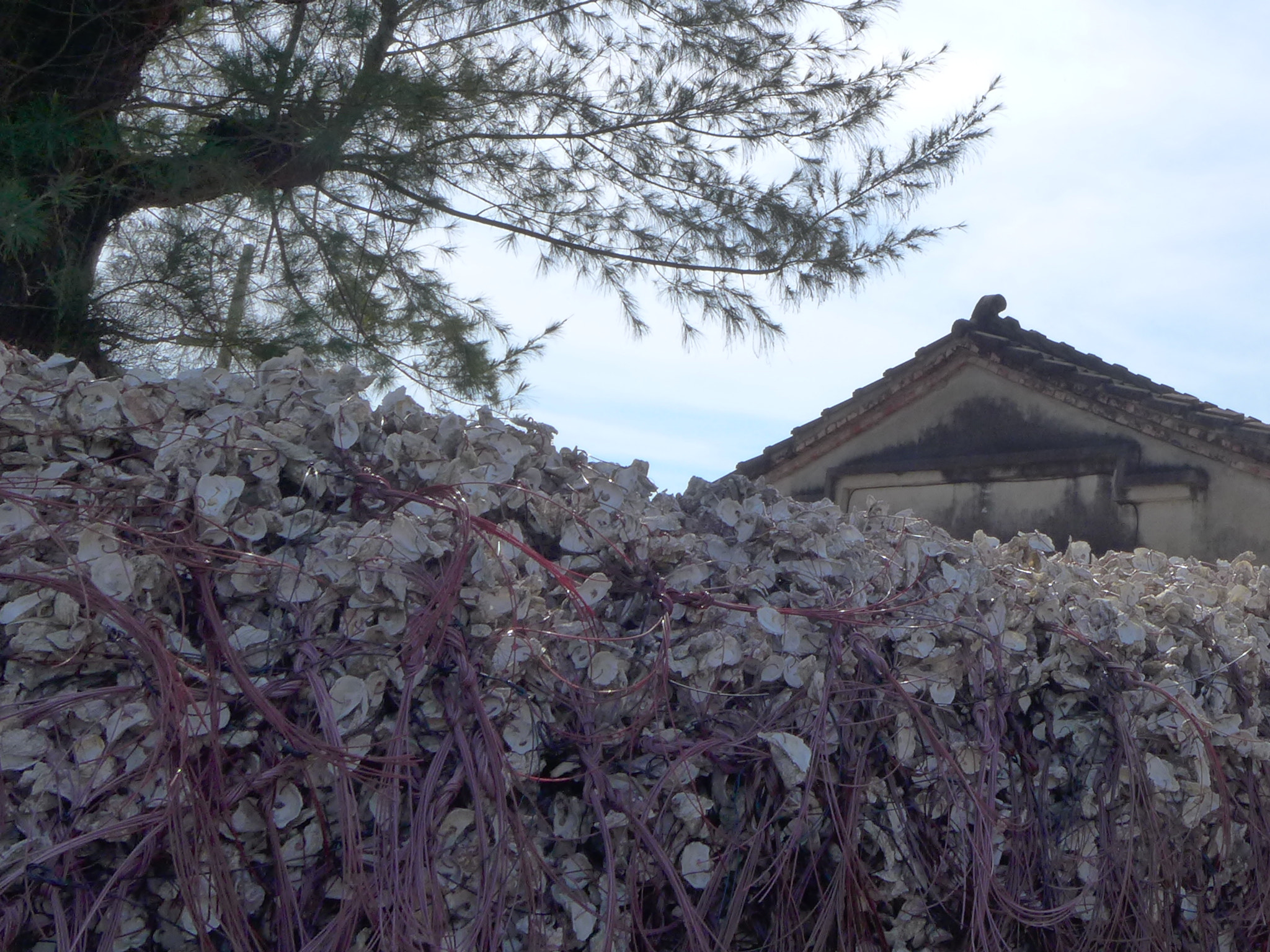 Leica D-Lux 6 sample photo