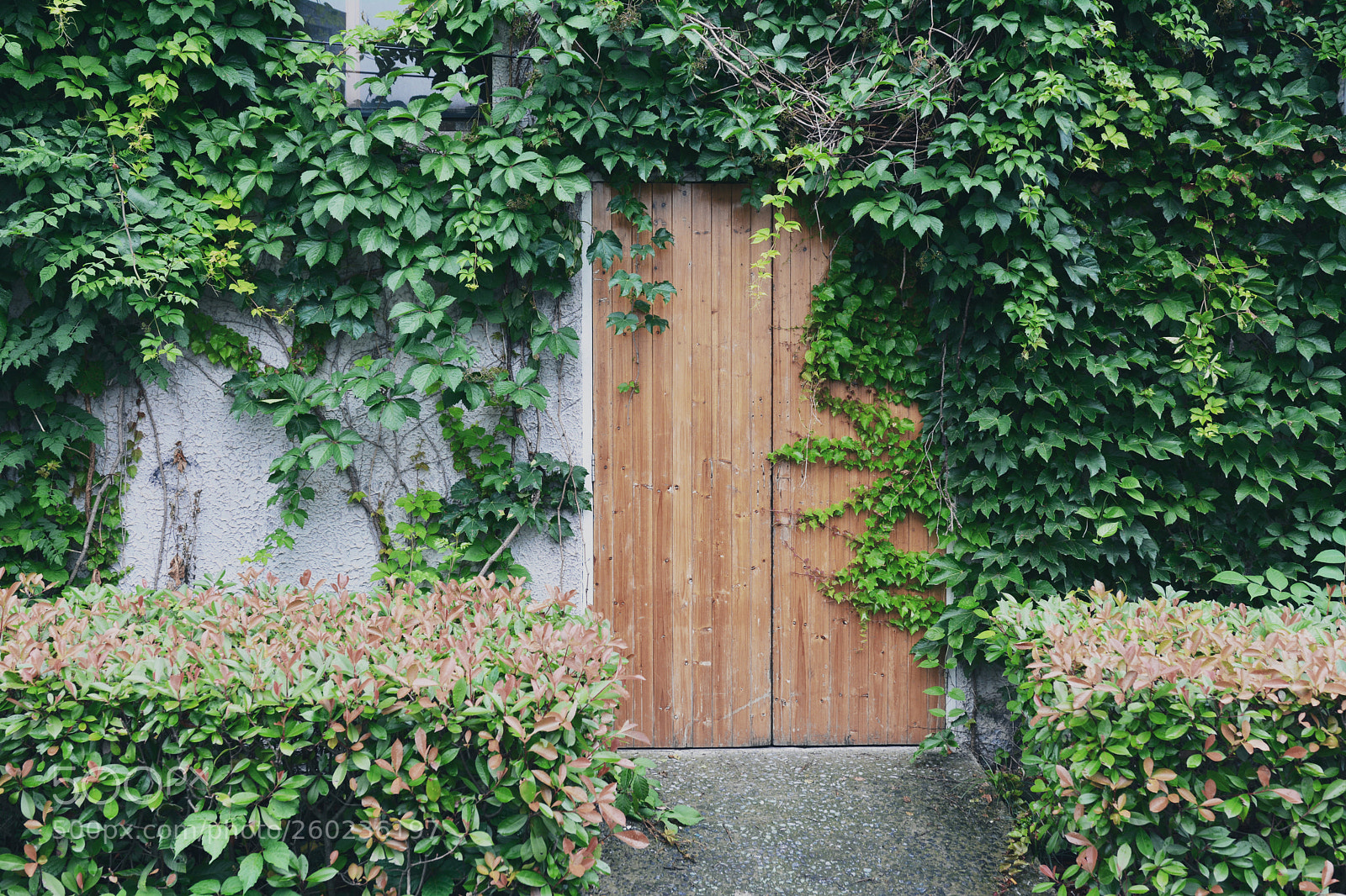 Nikon D7100 sample photo. Door photography