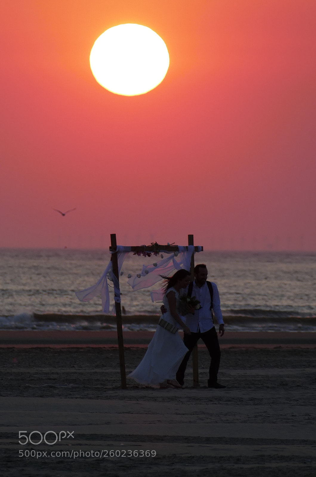 Panasonic Lumix DMC-FZ1000 sample photo. Newly wed couple under photography