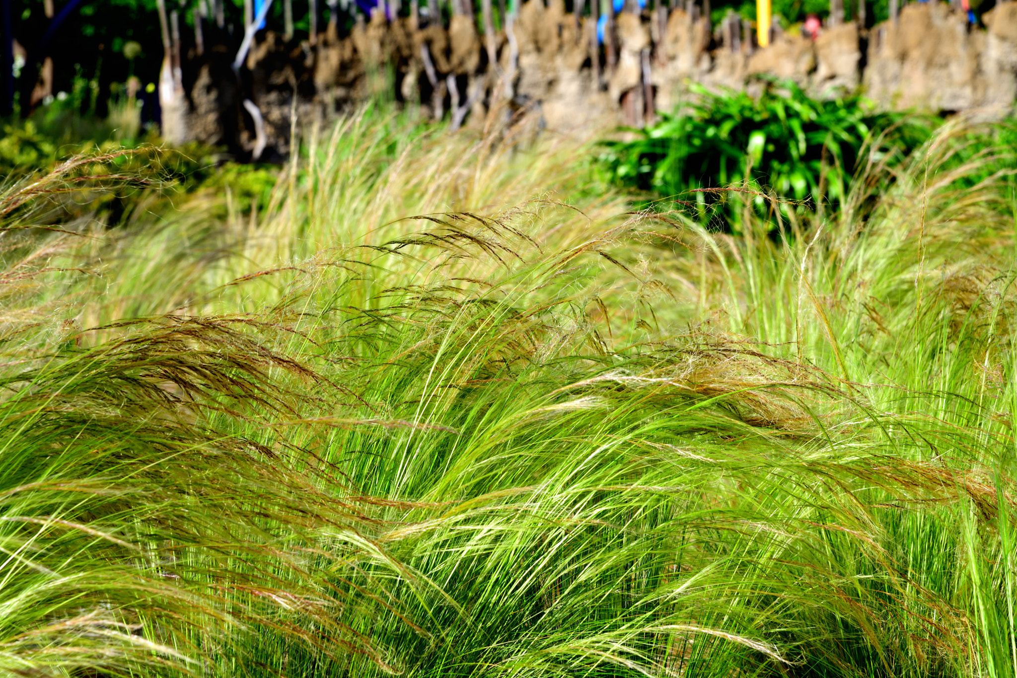 Nikon AF-S Nikkor 24-120mm F4G ED VR sample photo. The greenery photography