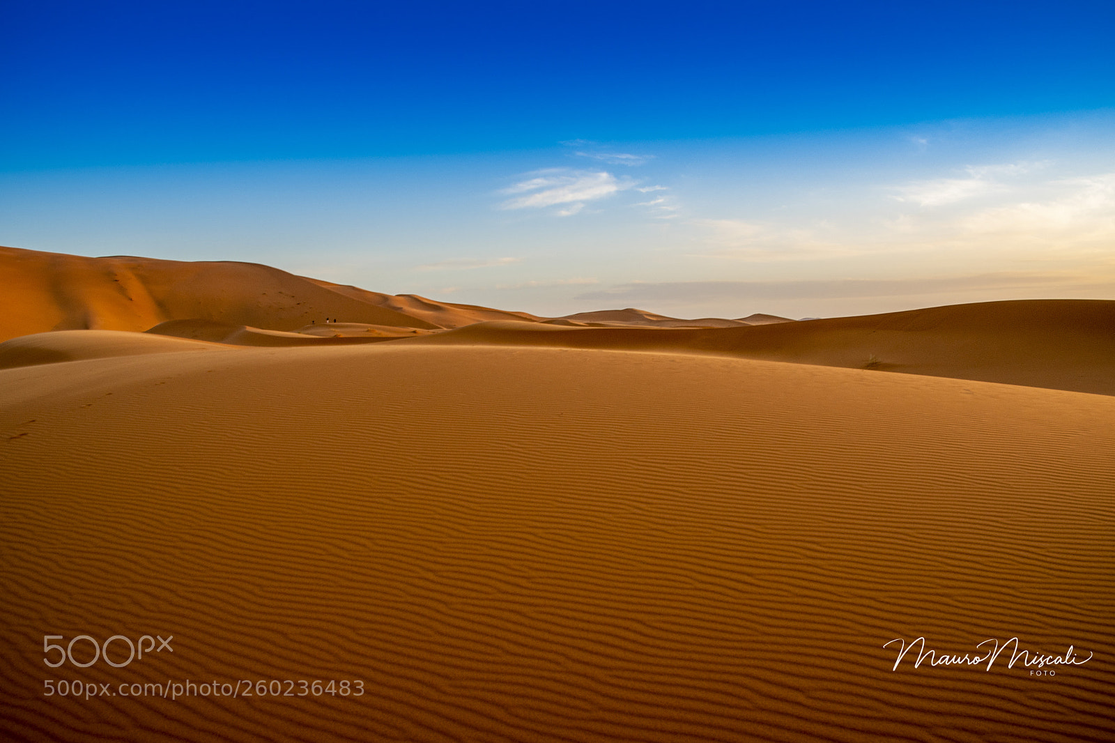 Nikon D500 sample photo. Sunrise in sahara photography