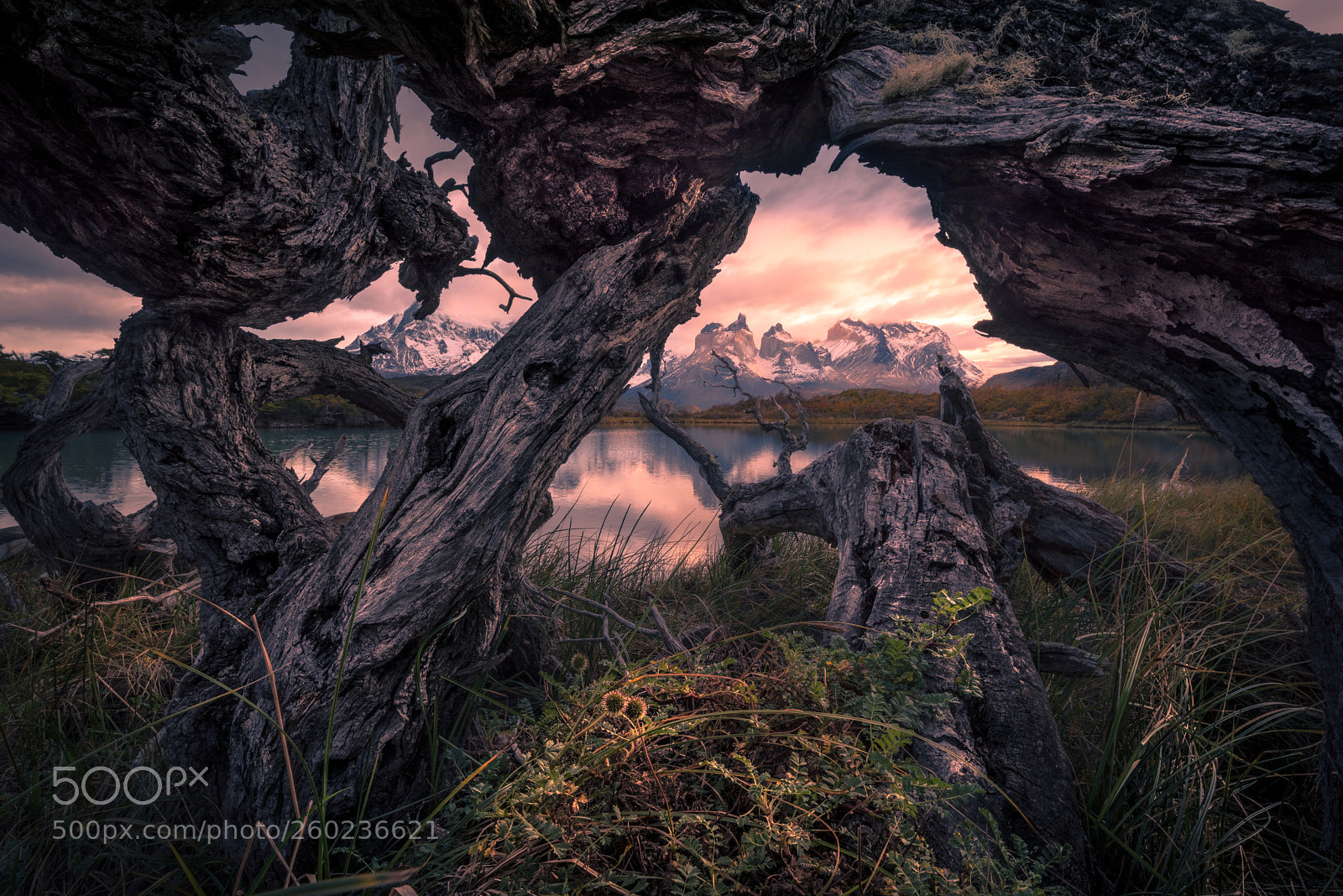 Nikon D810 sample photo. The gate photography