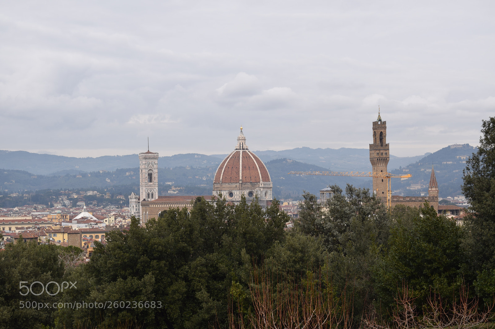 Nikon D3300 sample photo. Florence photography