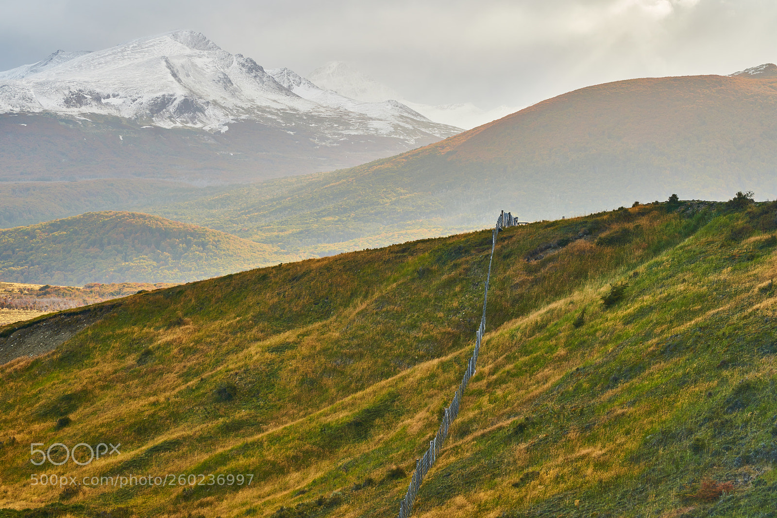 Sony a99 II sample photo. Landscapes next to a photography