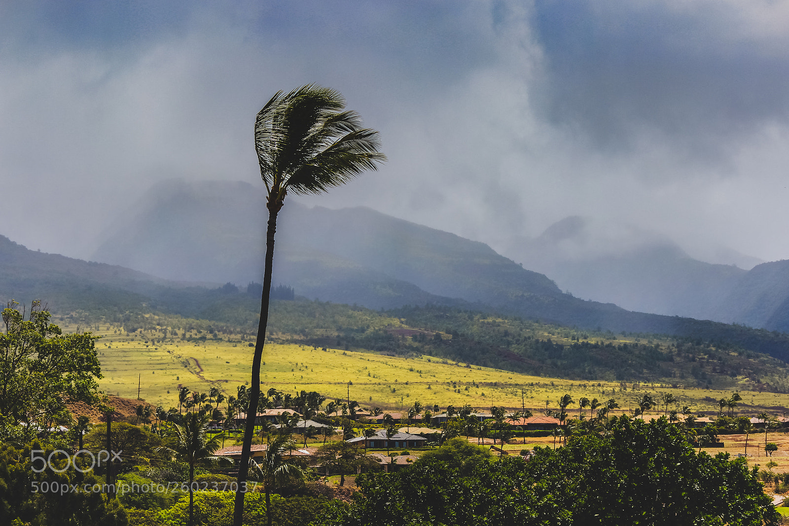 Canon EOS 600D (Rebel EOS T3i / EOS Kiss X5) sample photo. Windy day in maui photography