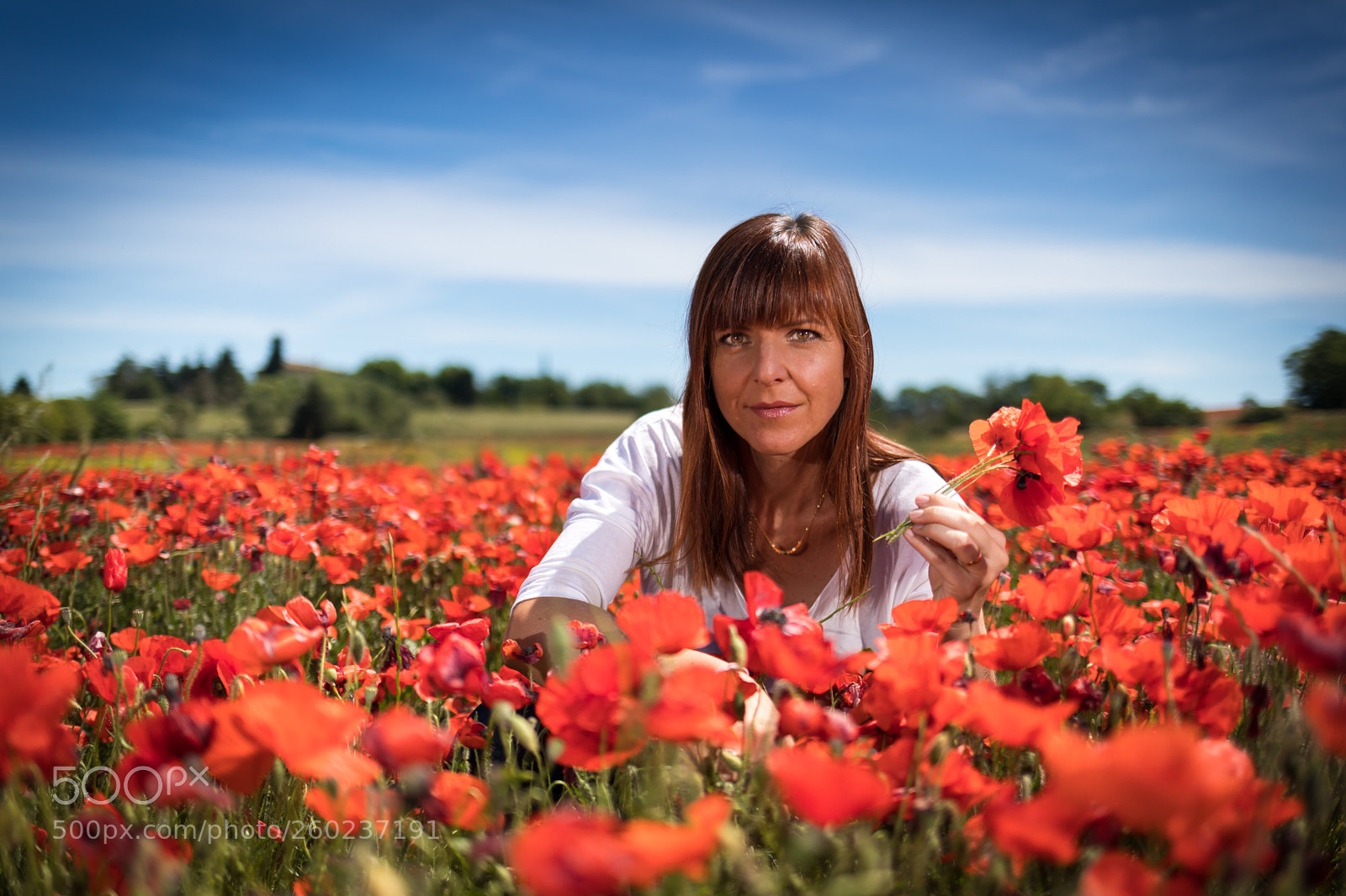 Canon EOS 5D Mark IV sample photo. Anna - coqueliquots #1 photography