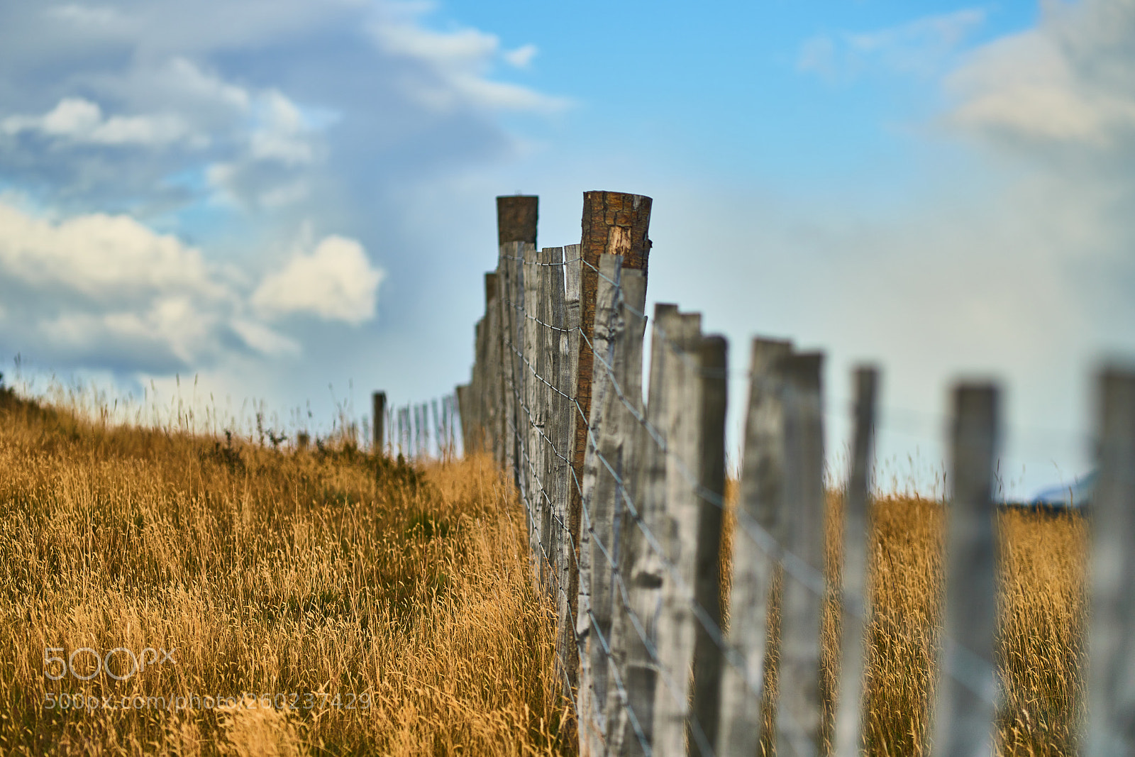 Sony a99 II sample photo. Landscapes next to a photography