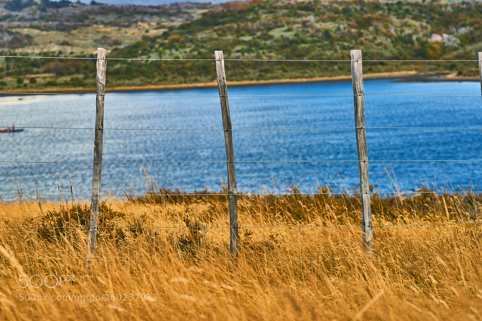 Sony a99 II sample photo. Landscapes next to a photography