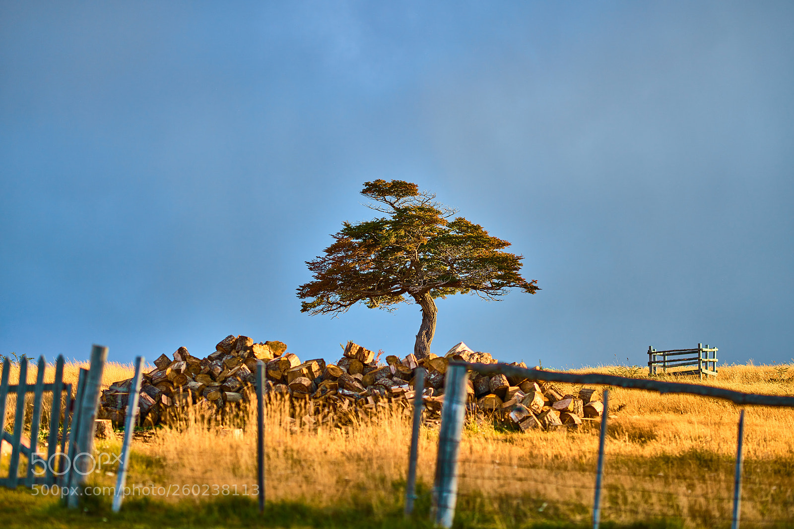 Sony a99 II sample photo. Landscapes next to a photography