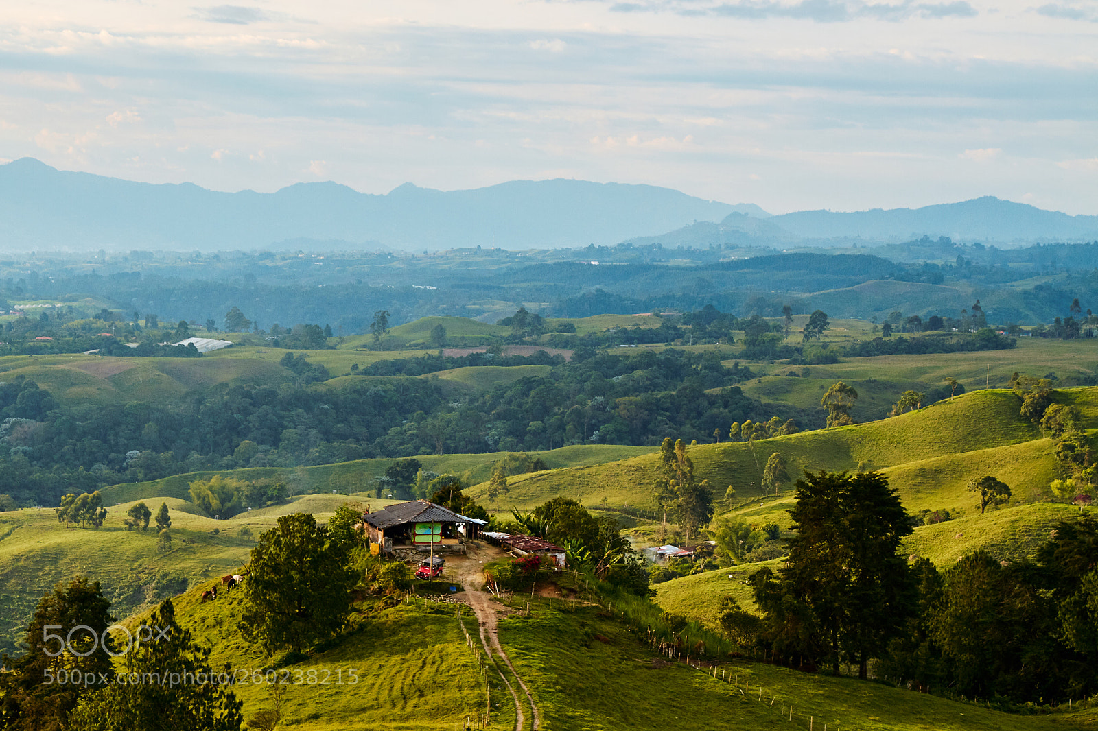 Canon EOS 7D sample photo. Colombia coffee region photography