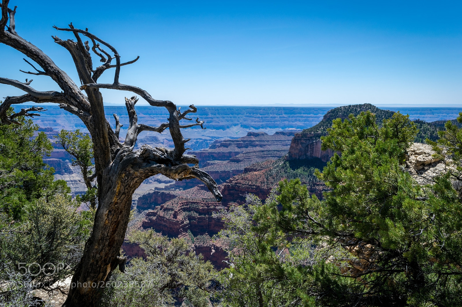 Nikon D5300 sample photo. Bright angel trail, north photography