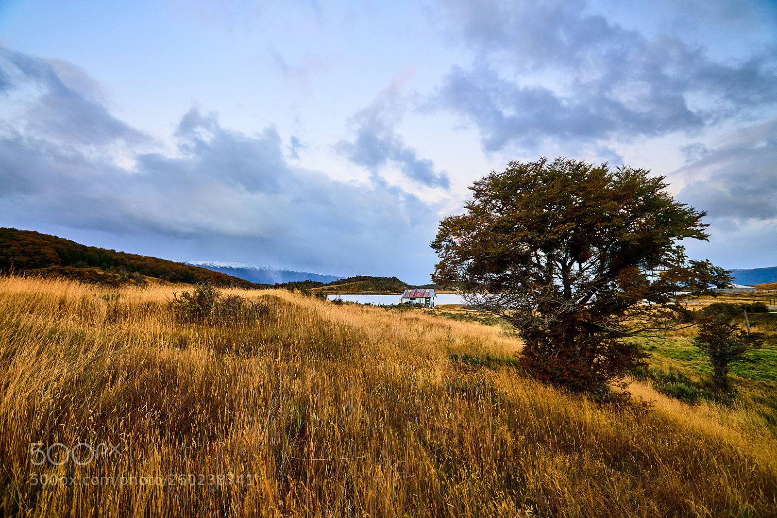 Sony a99 II sample photo. Landscapes next to a photography