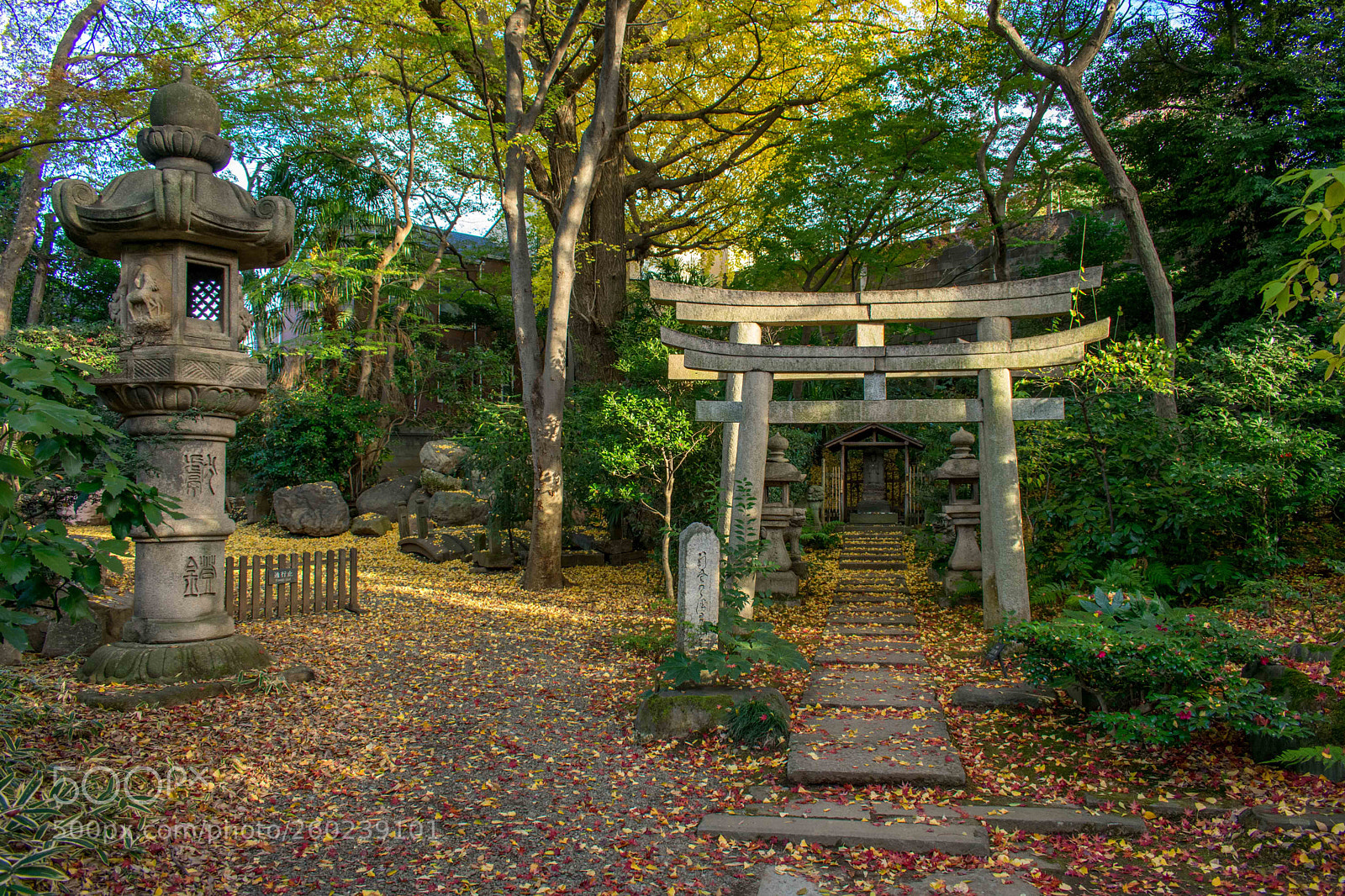 Nikon D3400 sample photo. Stone torii photography