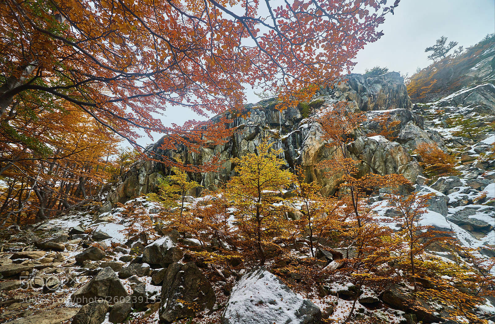 Sony a99 II sample photo. View of the snow-covered photography