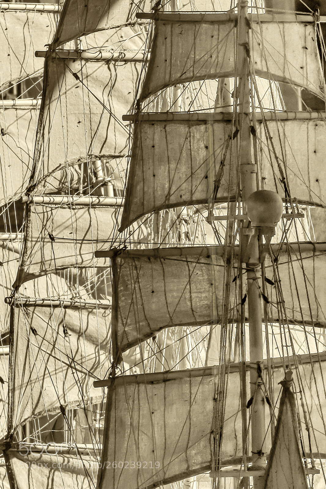 Canon POWERSHOT S5 IS sample photo. Sails  -voiles photography