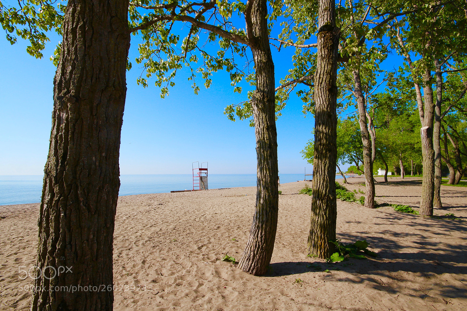 Canon EOS 700D (EOS Rebel T5i / EOS Kiss X7i) sample photo. Rouge park beach photography
