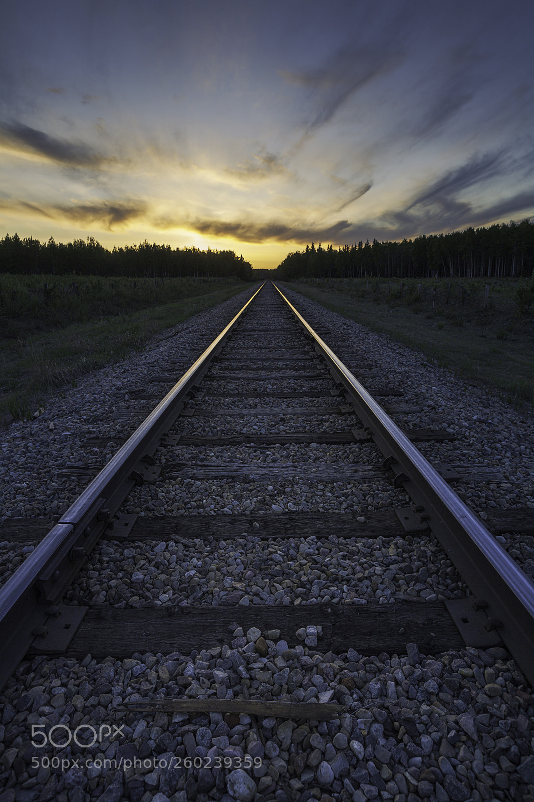 Canon EOS 5D Mark II sample photo. Tracks photography