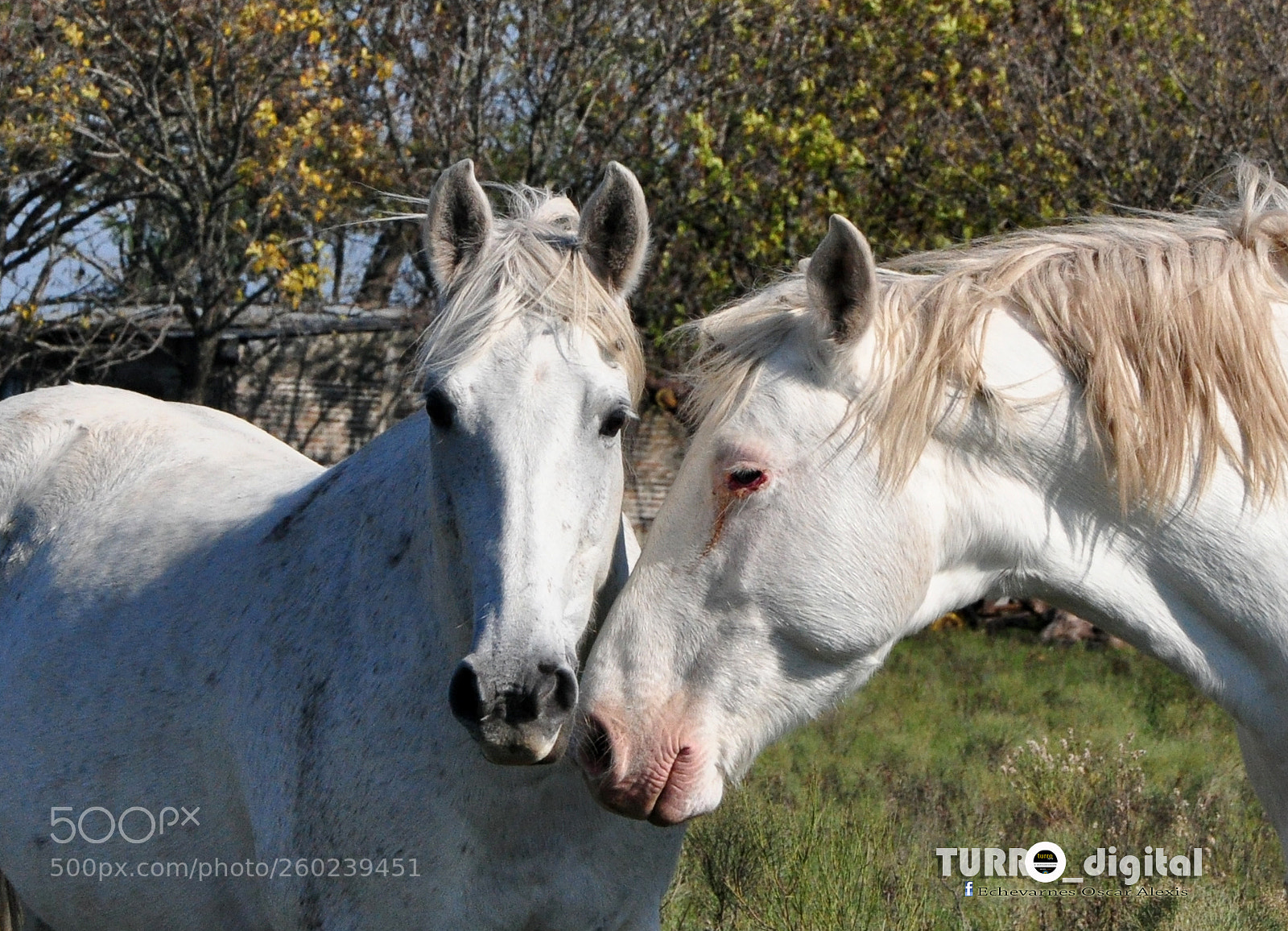 Nikon D90 sample photo. Untitled photography