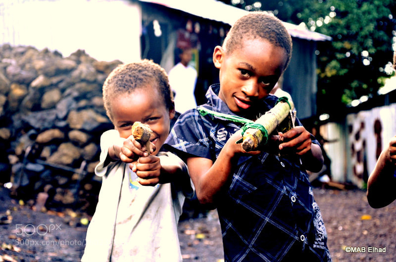 Nikon D7000 sample photo. Soldat de bois photography