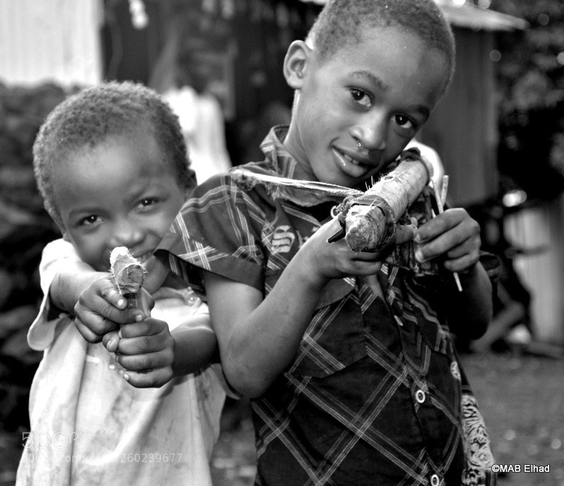 Nikon D7000 sample photo. Soldat de bois photography