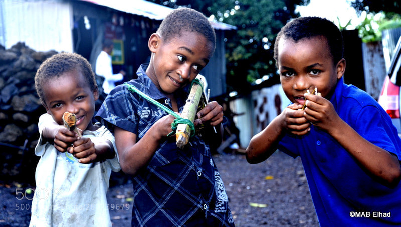 Nikon D7000 sample photo. Soldat de bois photography