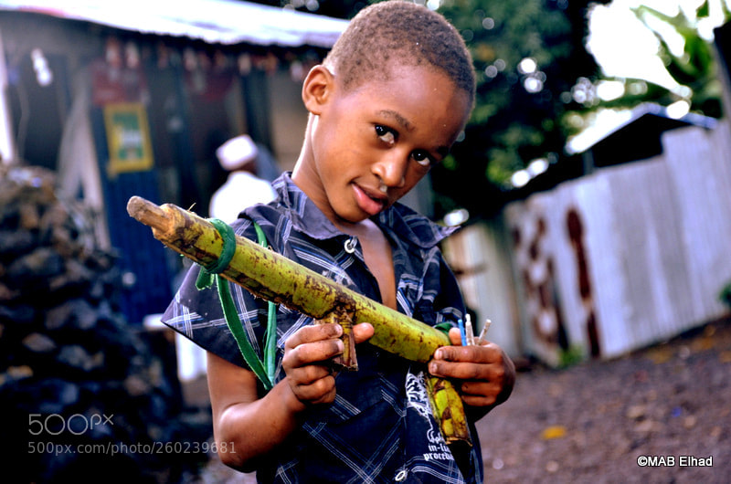 Nikon D7000 sample photo. Soldat de bois photography