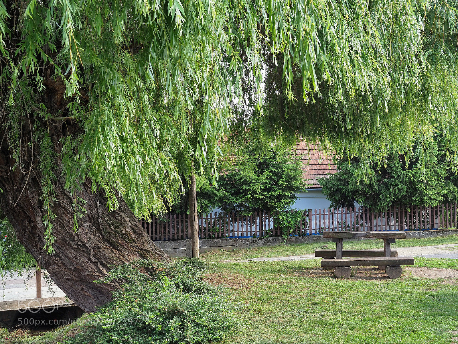 Olympus OM-D E-M1 Mark II sample photo. Village resting place photography