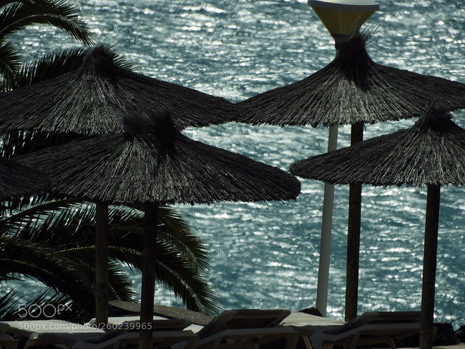 Nikon Coolpix B700 sample photo. Lanzarote beach photography