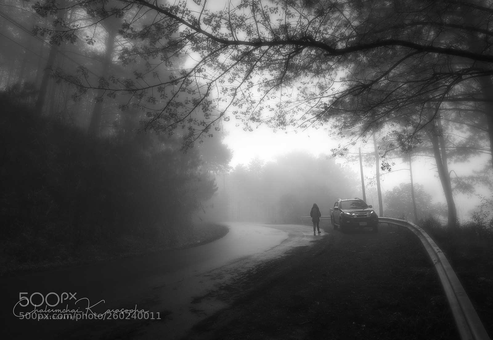 Nikon D750 sample photo. Bw photography