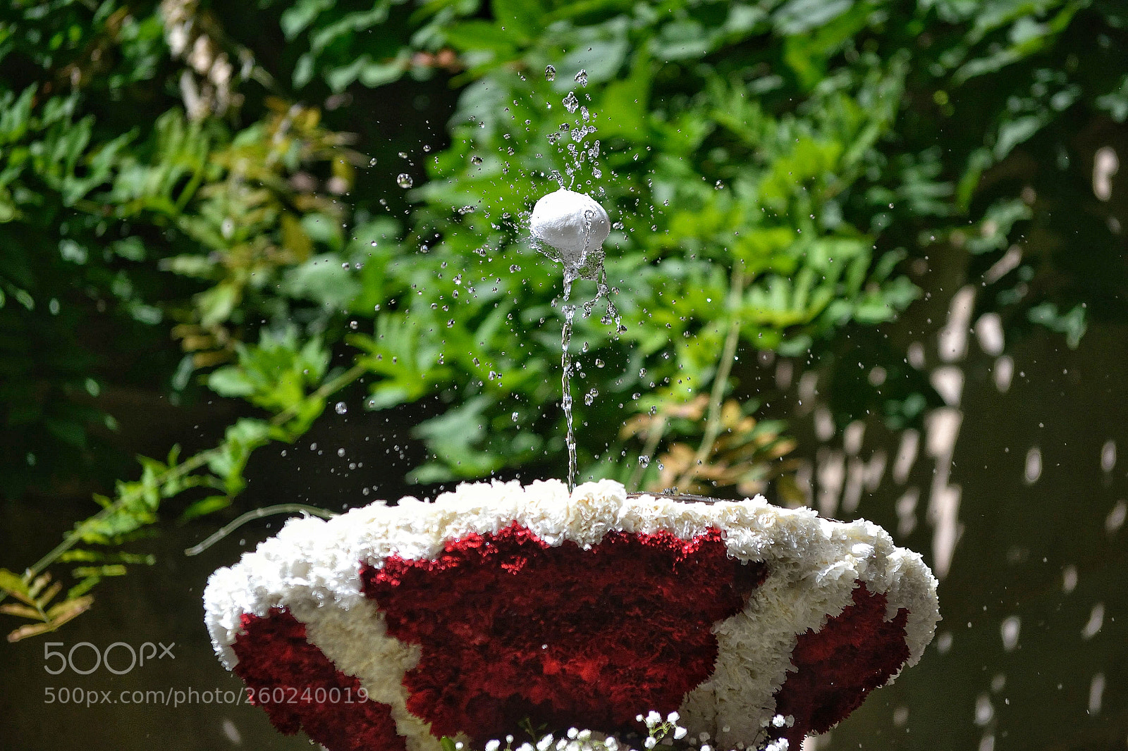 Nikon D3100 sample photo. L'ou com balla photography