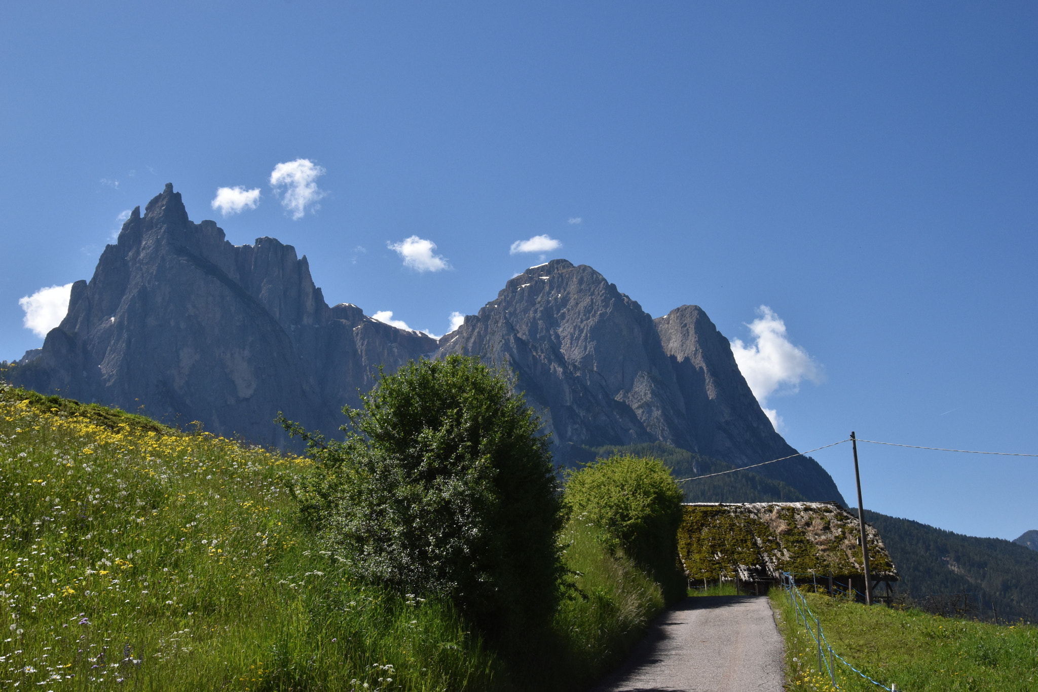 Nikon D5600 + Sigma 24-105mm F4 DG OS HSM Art sample photo. Dolomites - rosengarten photography