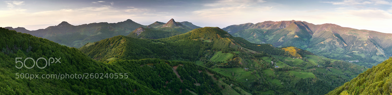 Nikon D850 sample photo. Puy griou pic a photography