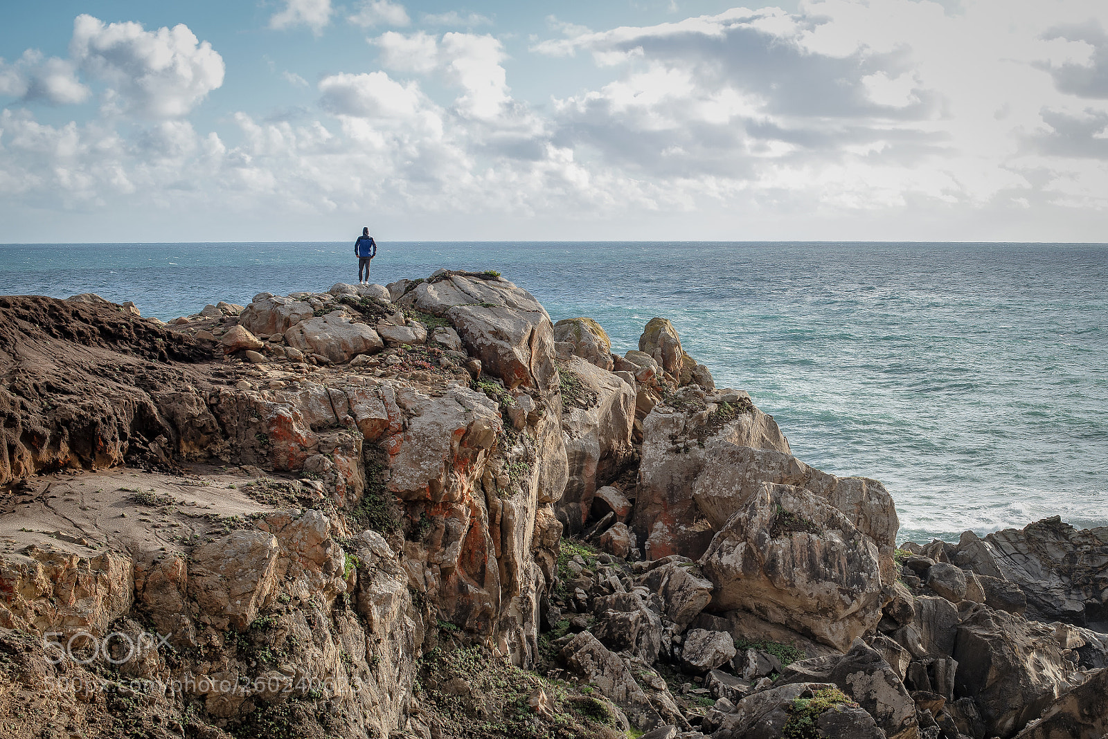 Nikon D610 sample photo. Freedom photography