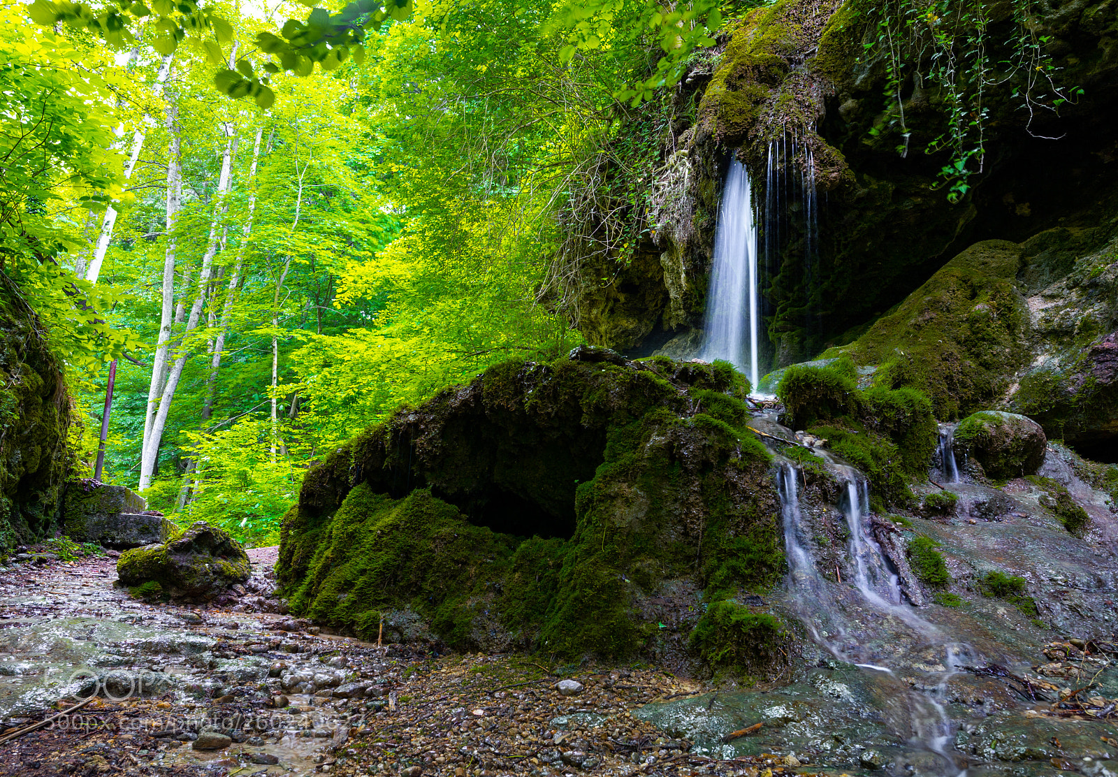 Sony a7 II sample photo. Tiny waterfall photography
