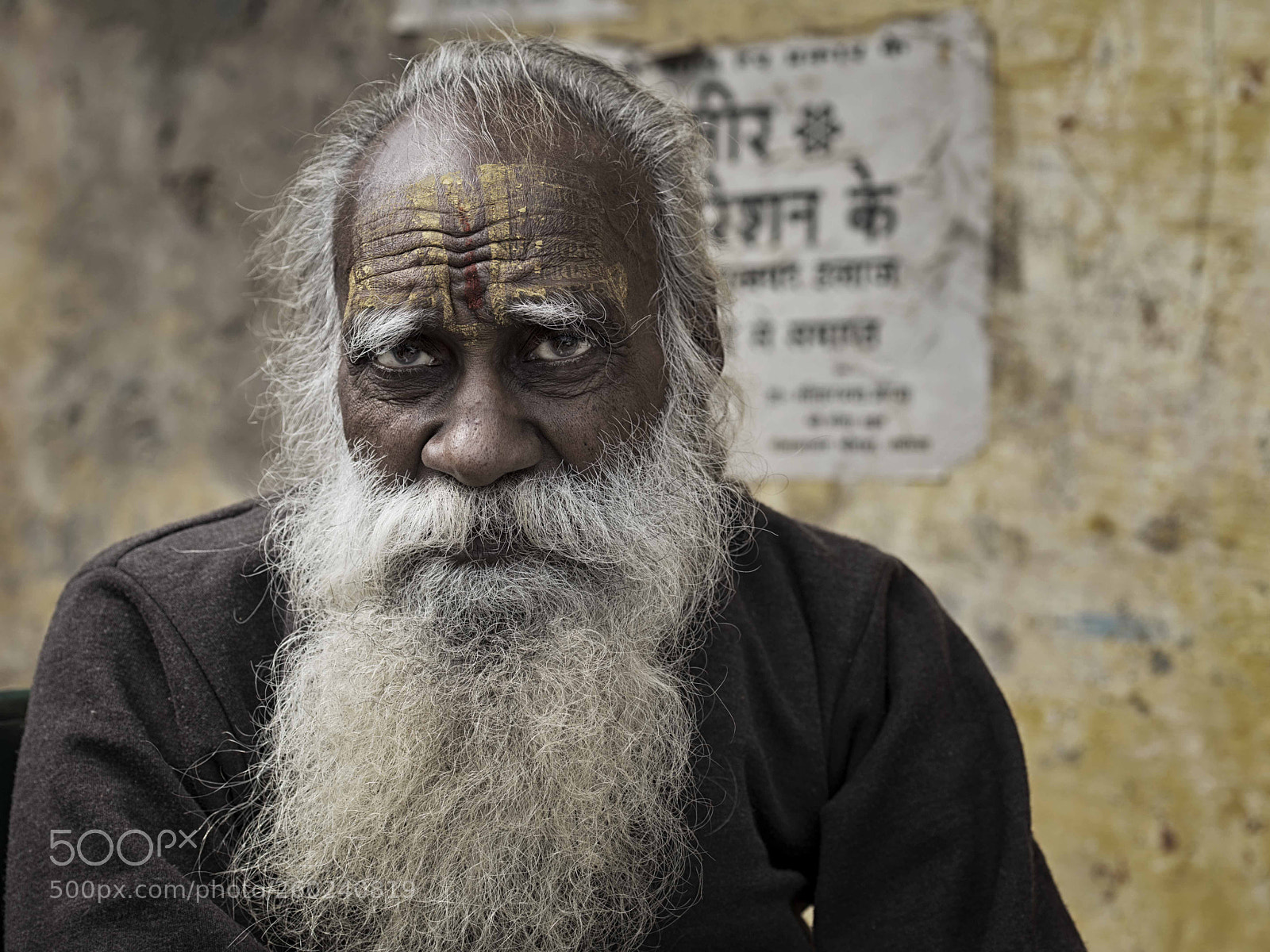 Nikon D800 sample photo. Wisdom photography