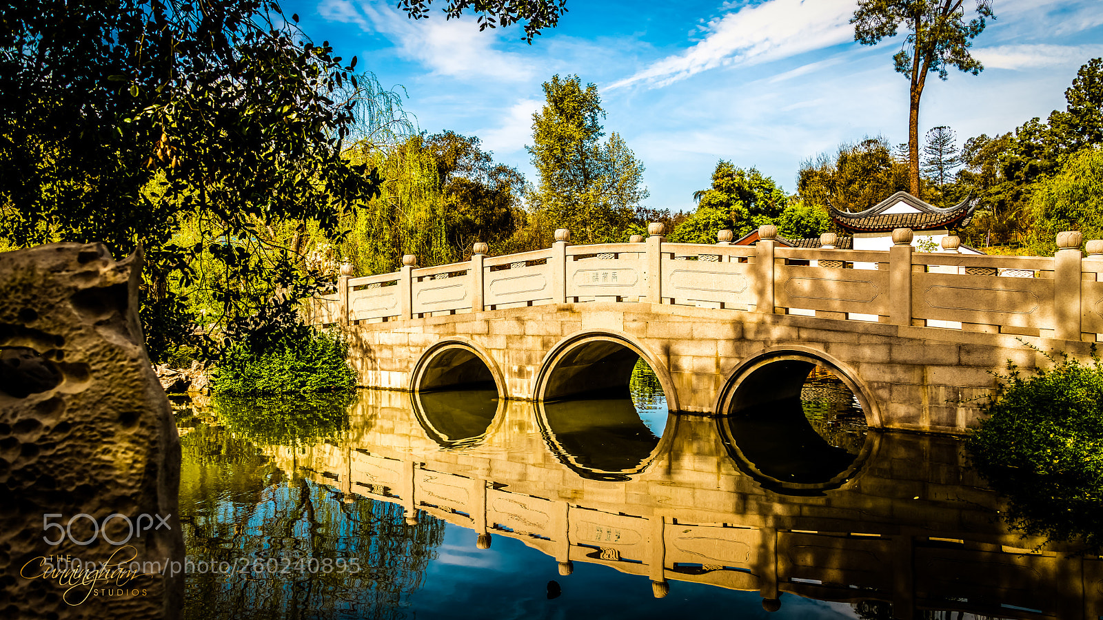 Nikon D850 sample photo. Chinese gardens photography