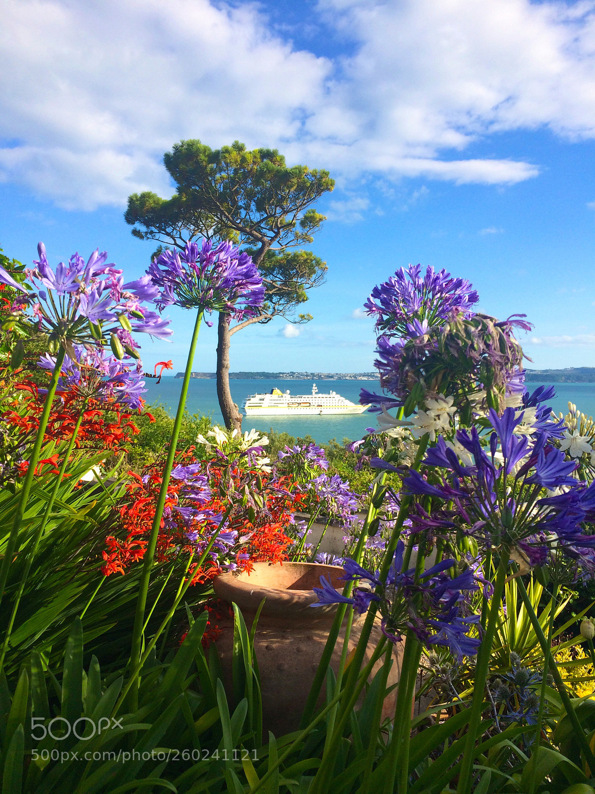 Apple iPhone 5s sample photo. Beautiful view - torbay photography
