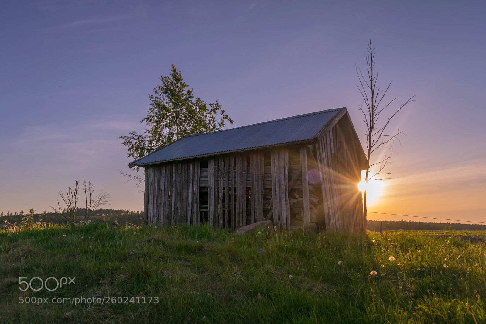 Nikon D3300 sample photo. Small abandoned house in photography