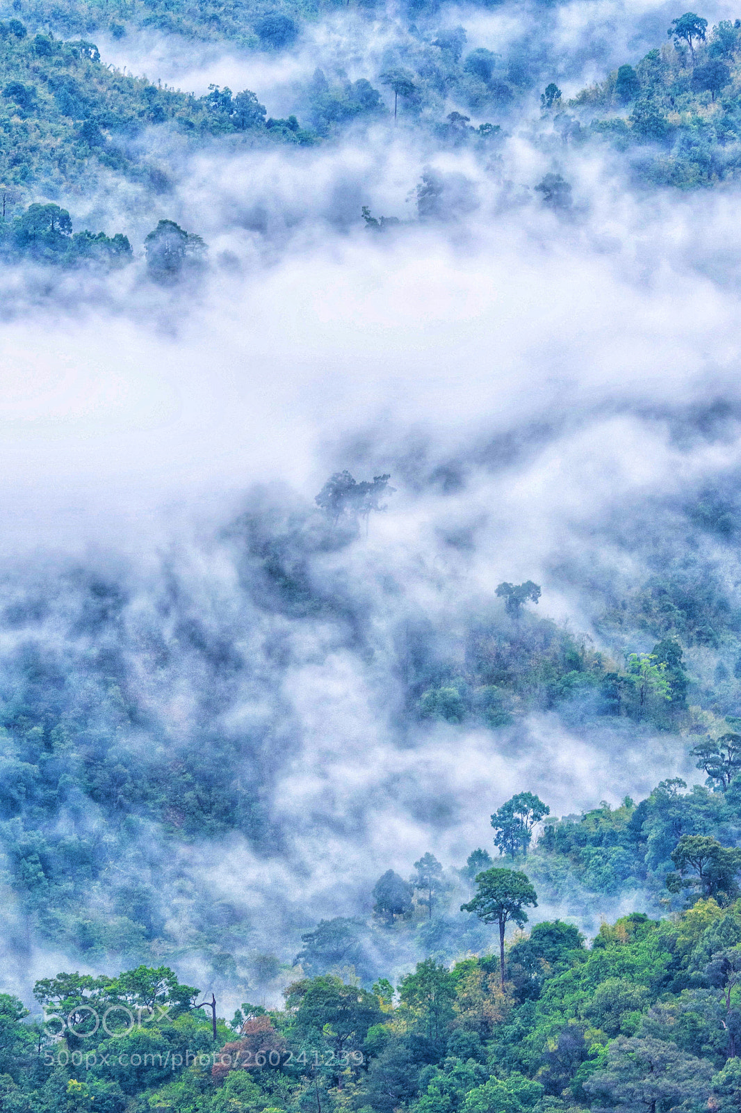 Nikon D7200 sample photo. The mist photography