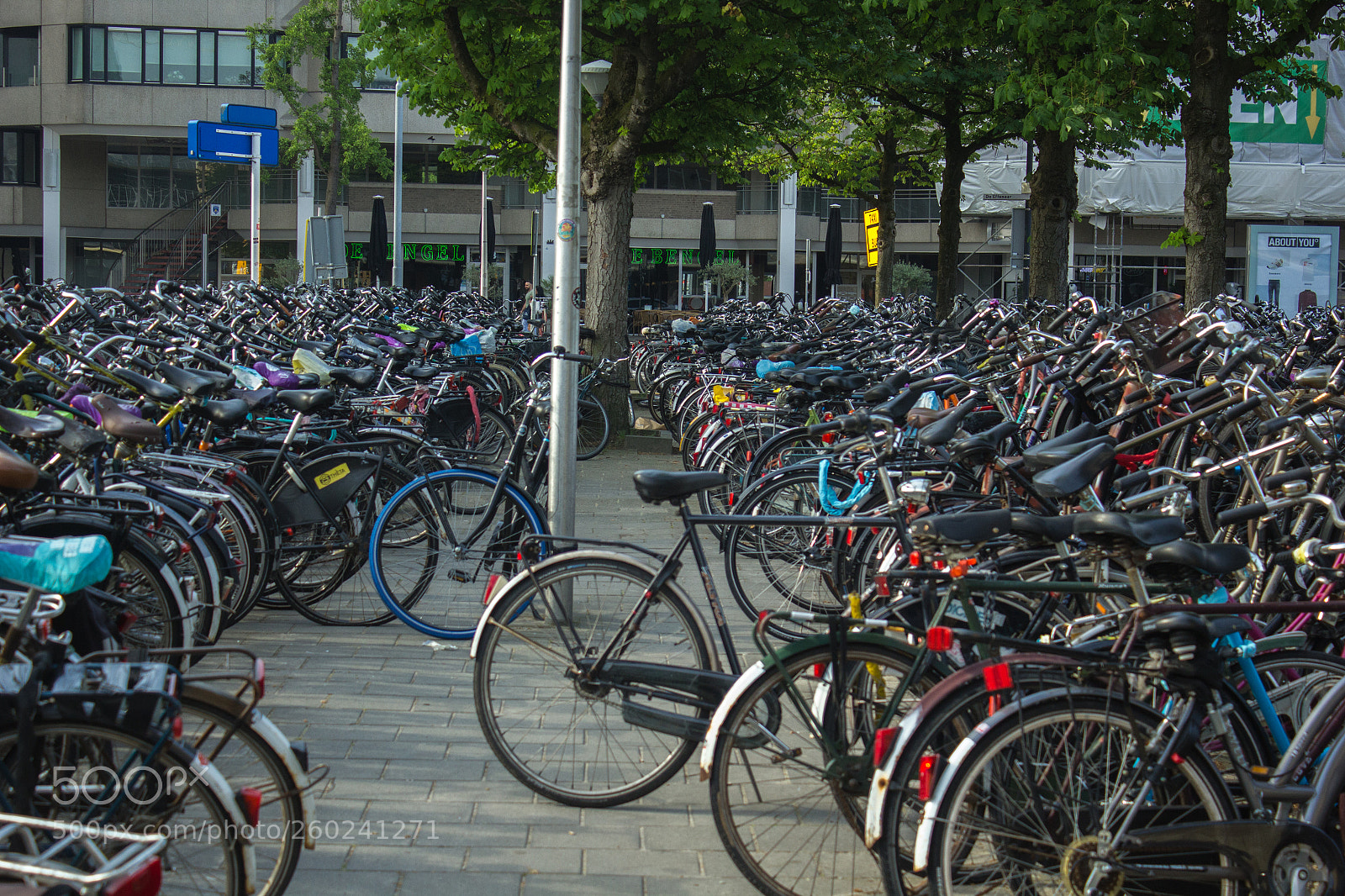 Canon EOS 550D (EOS Rebel T2i / EOS Kiss X4) sample photo. Eindhoven, nl photography