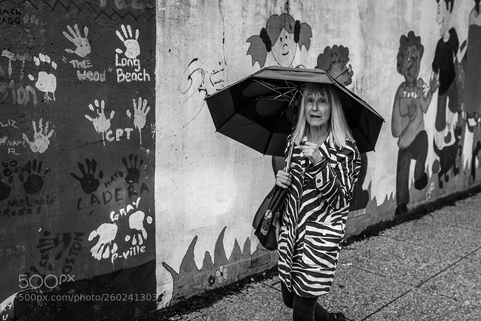 Nikon D750 sample photo. Crazy zebra photography